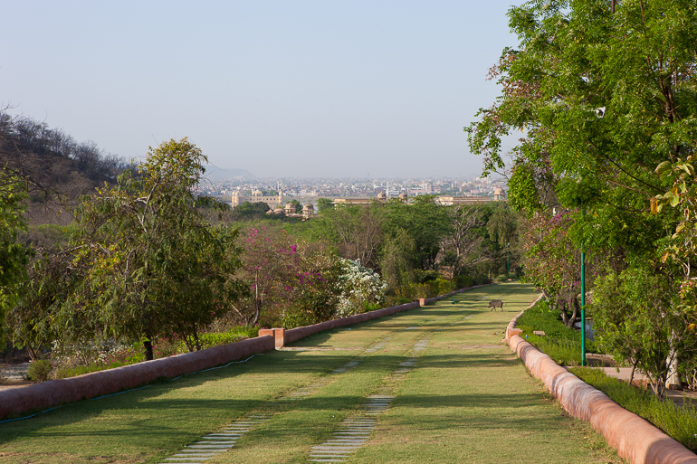 View from City Park, Jaipur, India