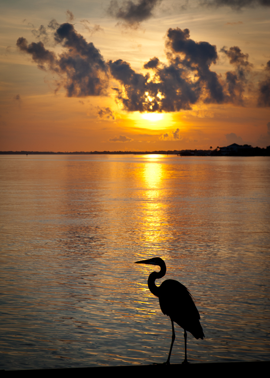 Sunrise, Gulf Shores, Alabama