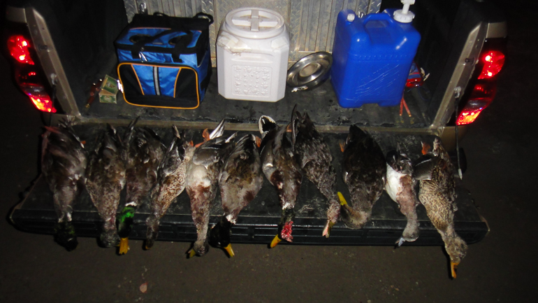 First Duck Hunt, St. Charles, MI.