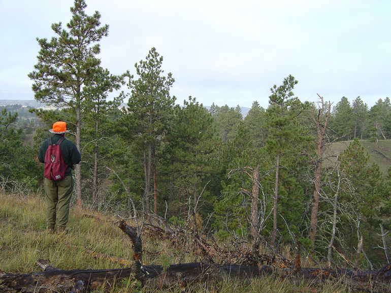 Bob Crites, Elk Hunt, Nebraska