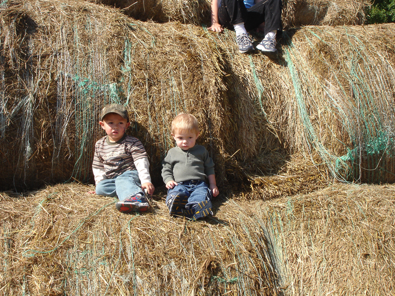 Grant & David Kish at the Pumpkin Patch, Hayden, AL