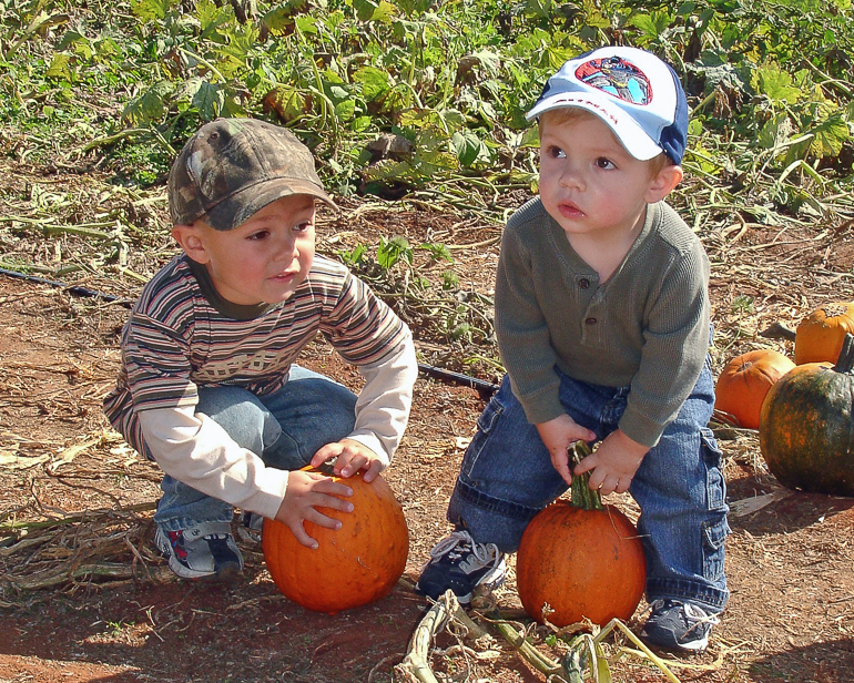 Grant & David Kish at the Pumpkin Patch, Hayden, AL