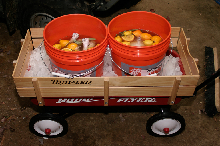 Brining the Thanksgiving Turkeys.