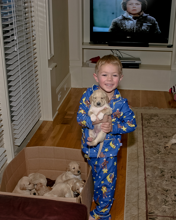 Puppies, Grant Kish and Ralphie.