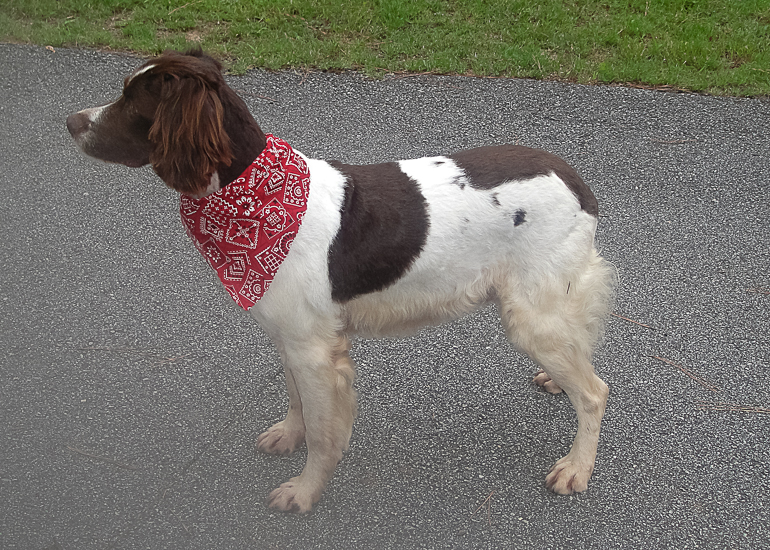 Kelly sporting her new haircut.