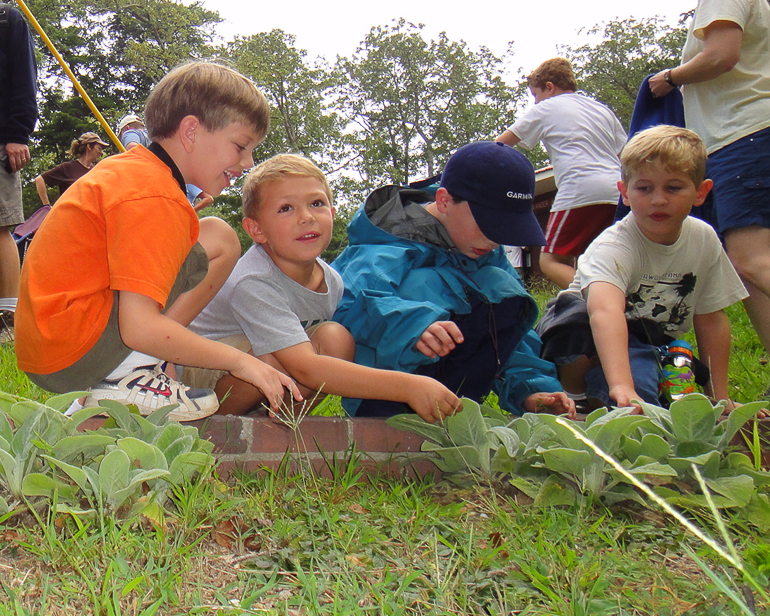 Grant Kish and friends checking out the Lamb's Ear on hike at Cheaha State Park.