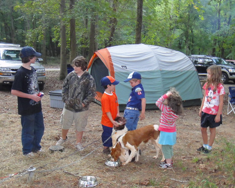 McIntosh Reserve Camping Trip