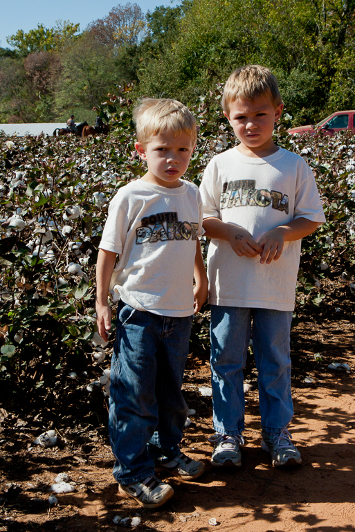 David & Grant Kish, Cotton Field, Old Baker Farm, Harpersville, AL.