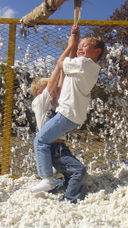 David & Grant Kish in the cotton, Old Baker Farm, Harpersville, AL