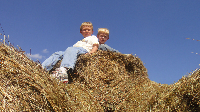 Grant & David Kish, Old Baker Farm, Harpersville, AL.